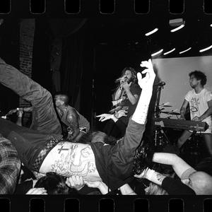 Horse the Band